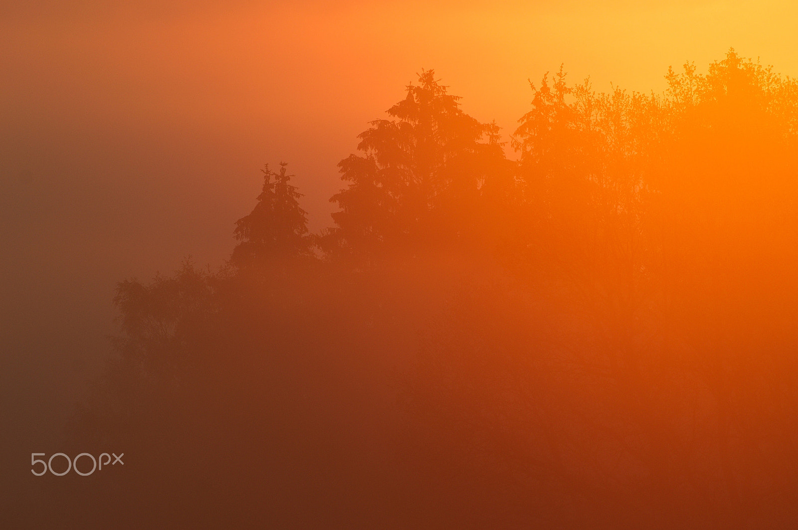 70.00 - 300.00 mm f/4.0 - 5.6 sample photo. Light ... photography