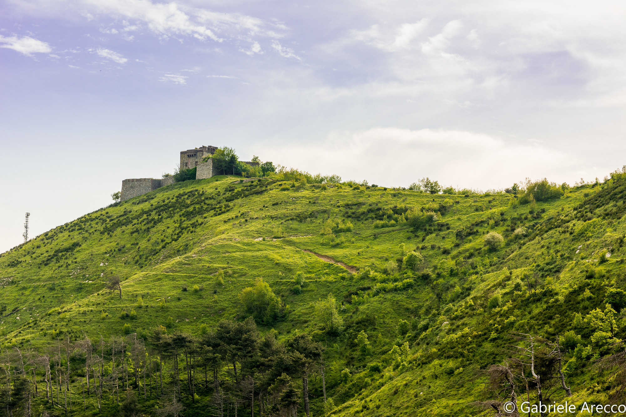 Nikon D7100 + Sigma 17-70mm F2.8-4 DC Macro OS HSM | C sample photo. Forte puin photography