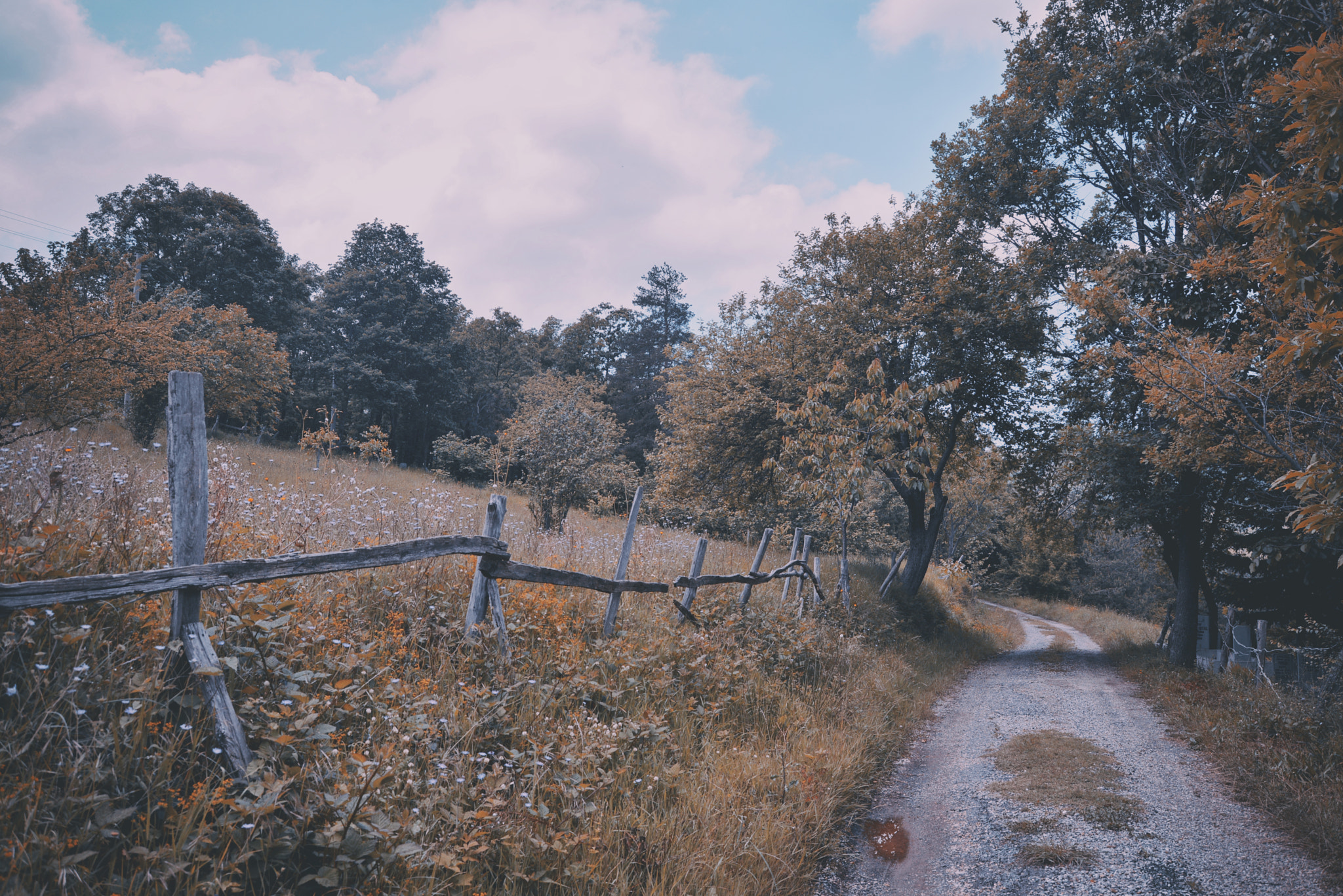 Nikon D600 sample photo. Village life photography