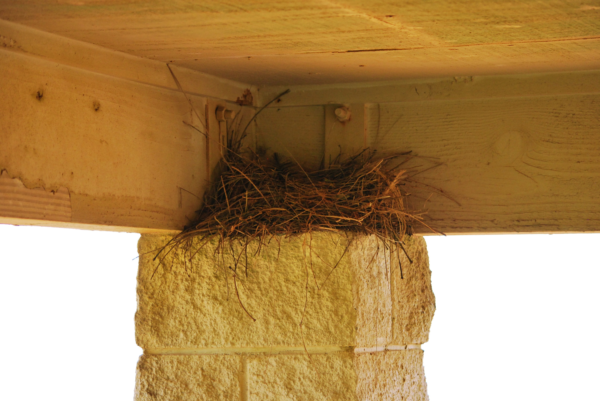 Nikon D60 sample photo. Abandoned ... photography