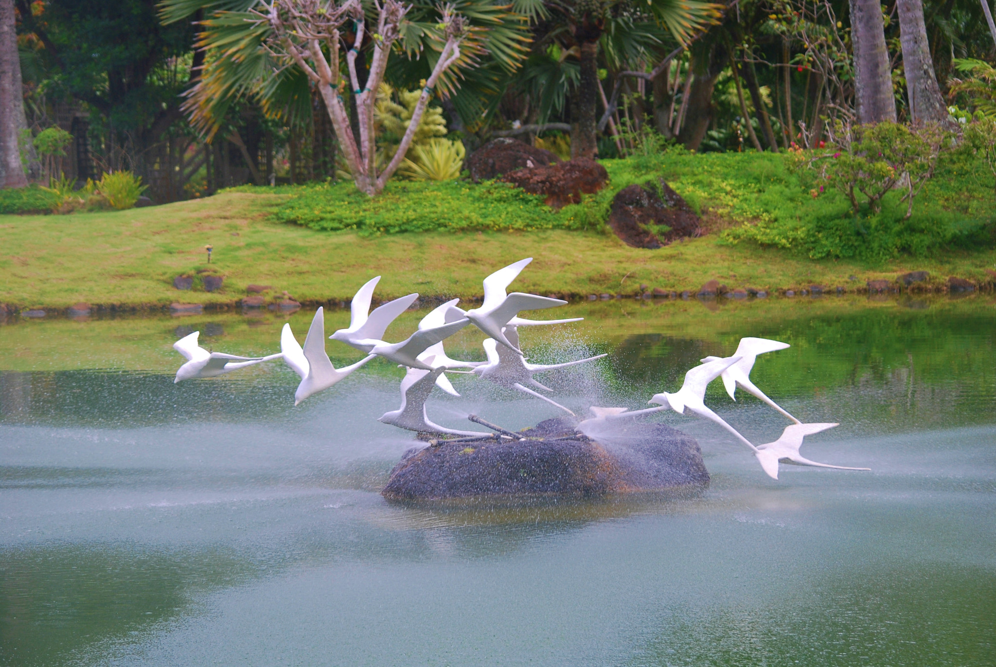 Nikon D60 sample photo. Alabaster frolic na 'aina kai botanical gardens & sculpture park kilauea kauai photography