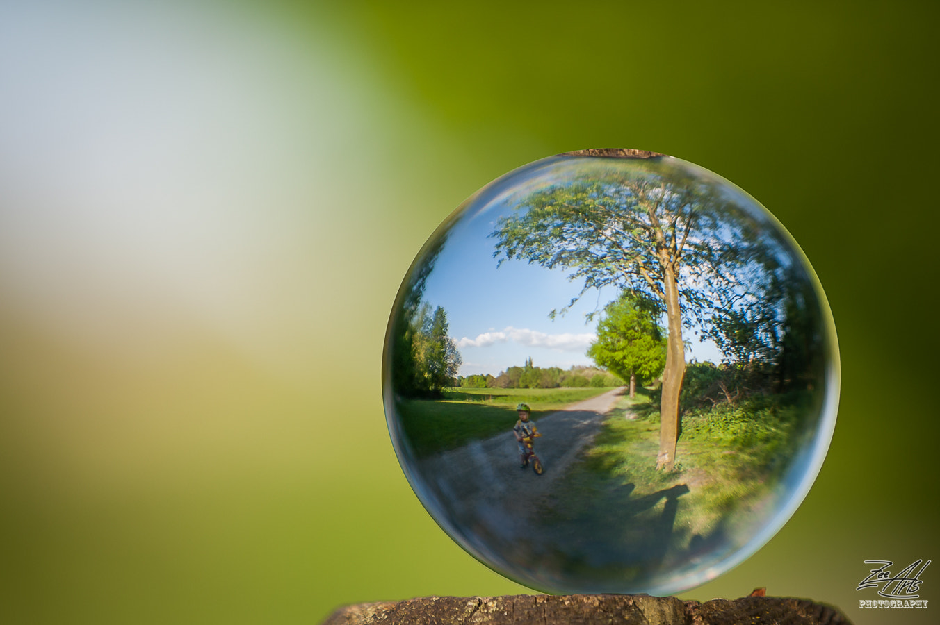 AF-S Zoom-Nikkor 80-200mm f/2.8D IF-ED sample photo. Nature through glass sphere photography