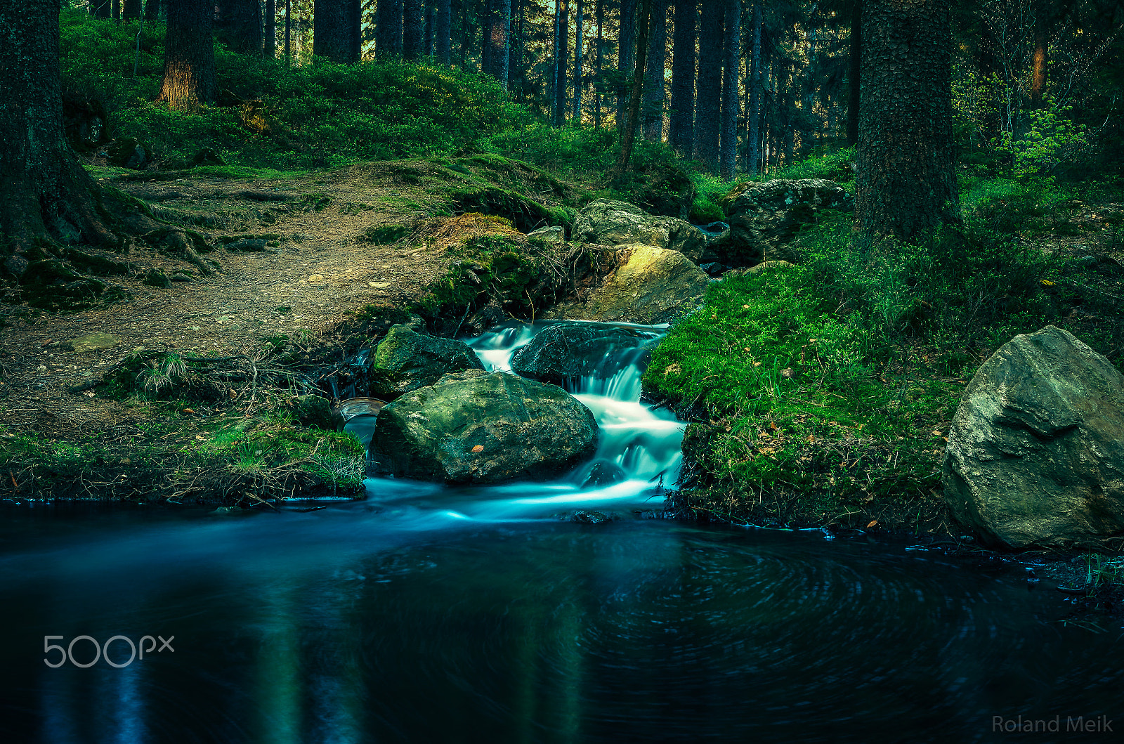 Nikon D5100 + Sigma 18-35mm F1.8 DC HSM Art sample photo. Fairy tale wood photography