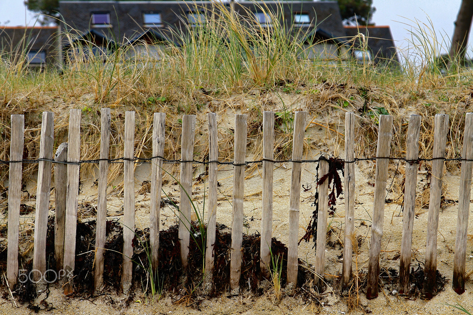 Sigma 17-70mm F2.8-4 DC Macro OS HSM sample photo. Dunes photography