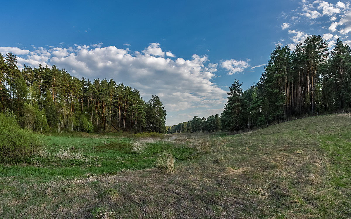 AF Zoom-Nikkor 28-105mm f/3.5-4.5D IF sample photo. Весна photography