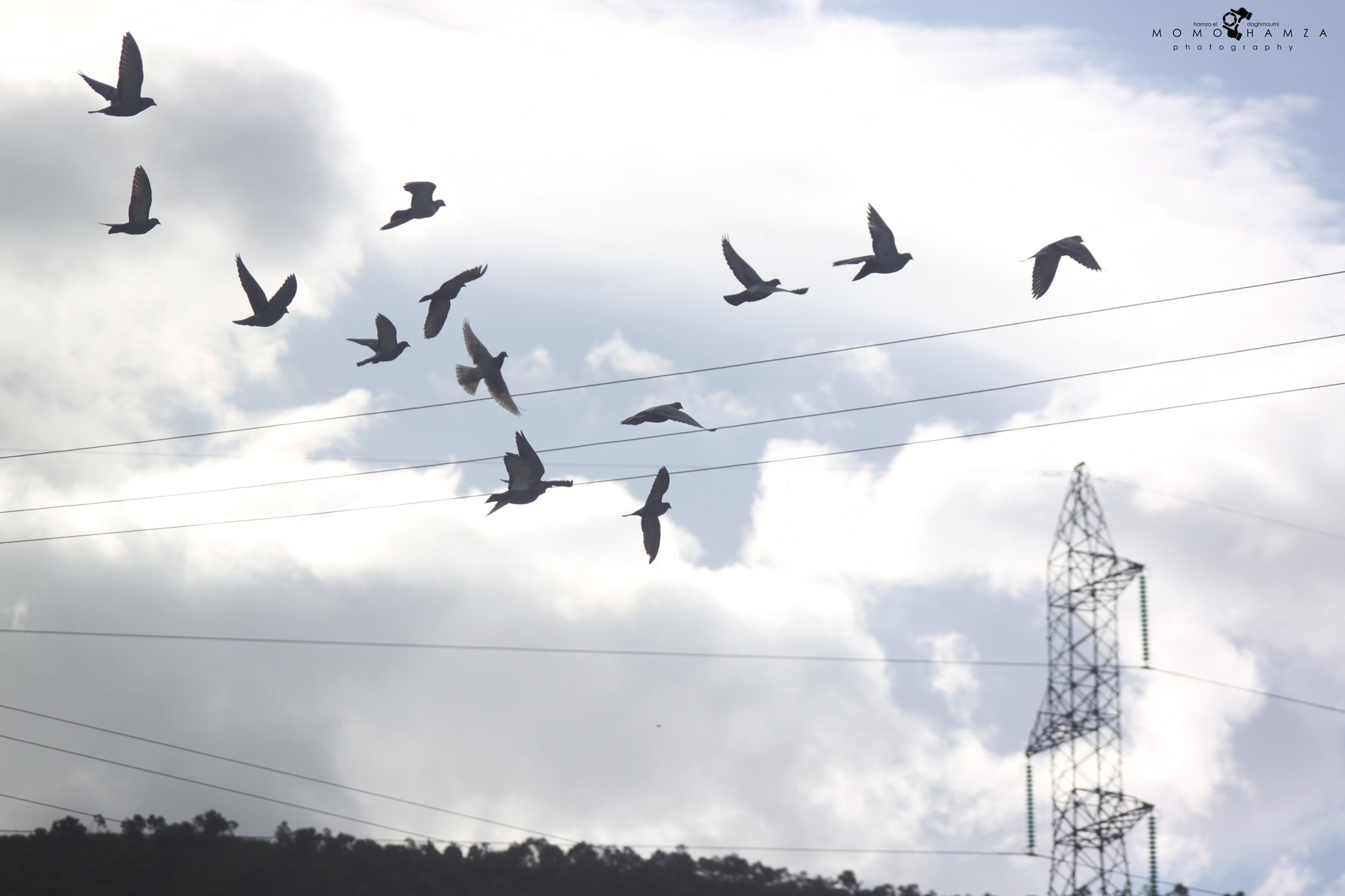 Canon EF 100-300mm f/5.6 sample photo