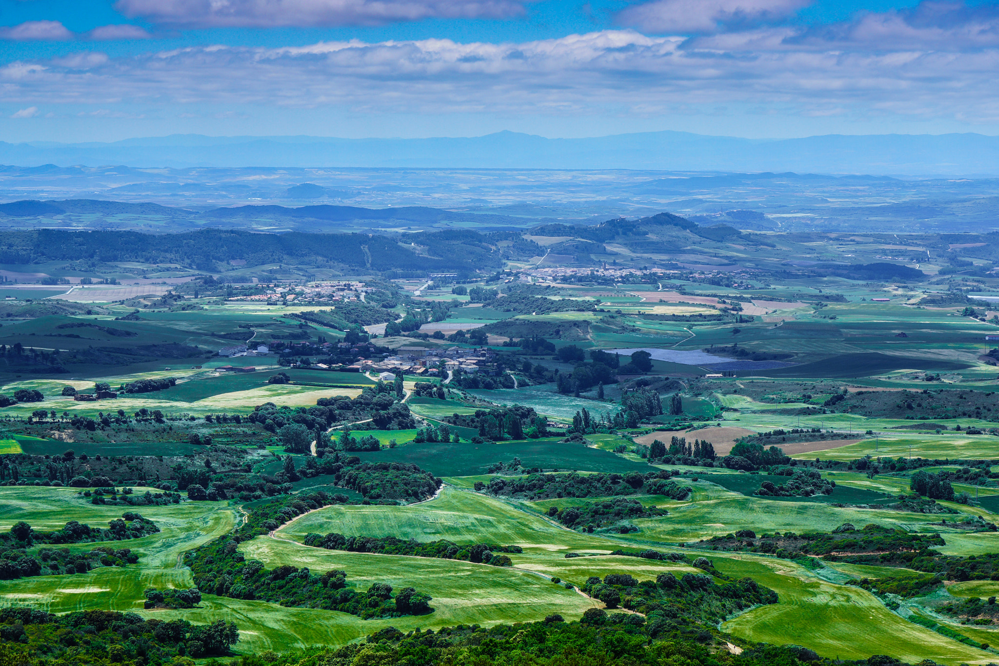 24-70mm F4 ZA OSS sample photo. Camino field tapestry. photography