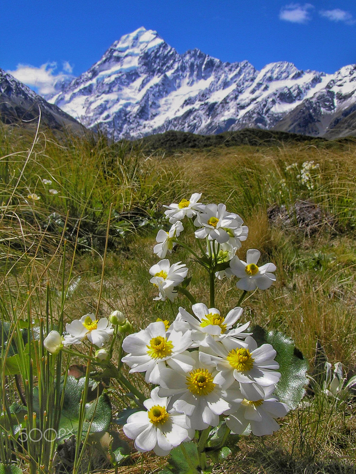 Olympus C765UZ sample photo. Aoraki / mount cook photography
