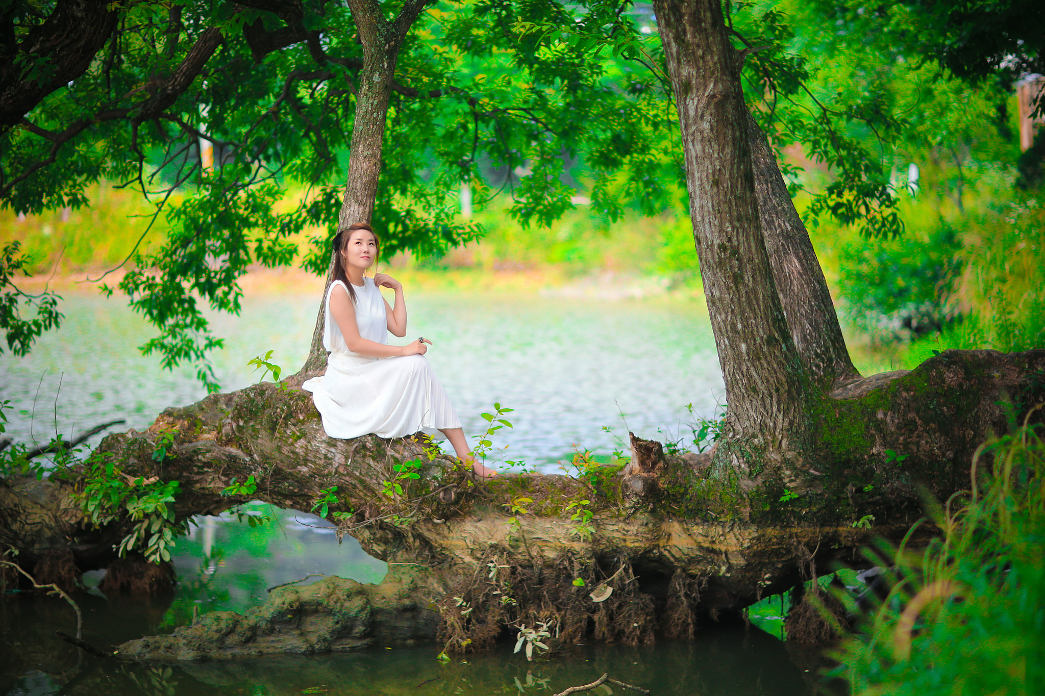 Canon EOS-1D X + Canon EF 85mm F1.2 sample photo. Ww photography