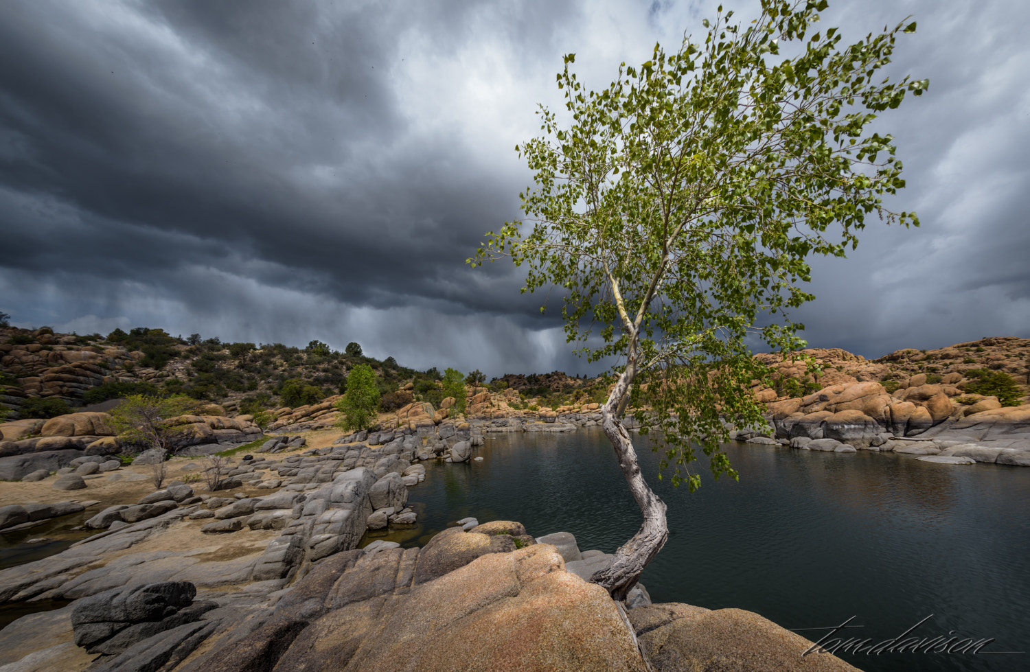 Nikon D810 + Sigma 15mm F2.8 EX DG Diagonal Fisheye sample photo. Weed photography