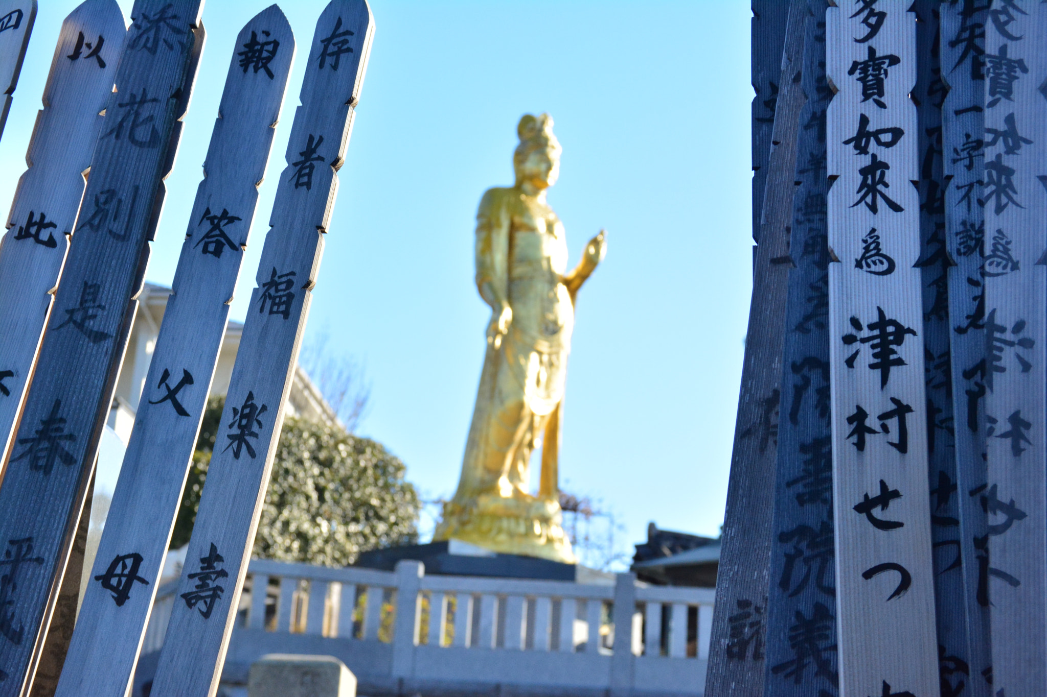 Sigma 18-125mm F3.8-5.6 DC OS HSM sample photo. The other side photography
