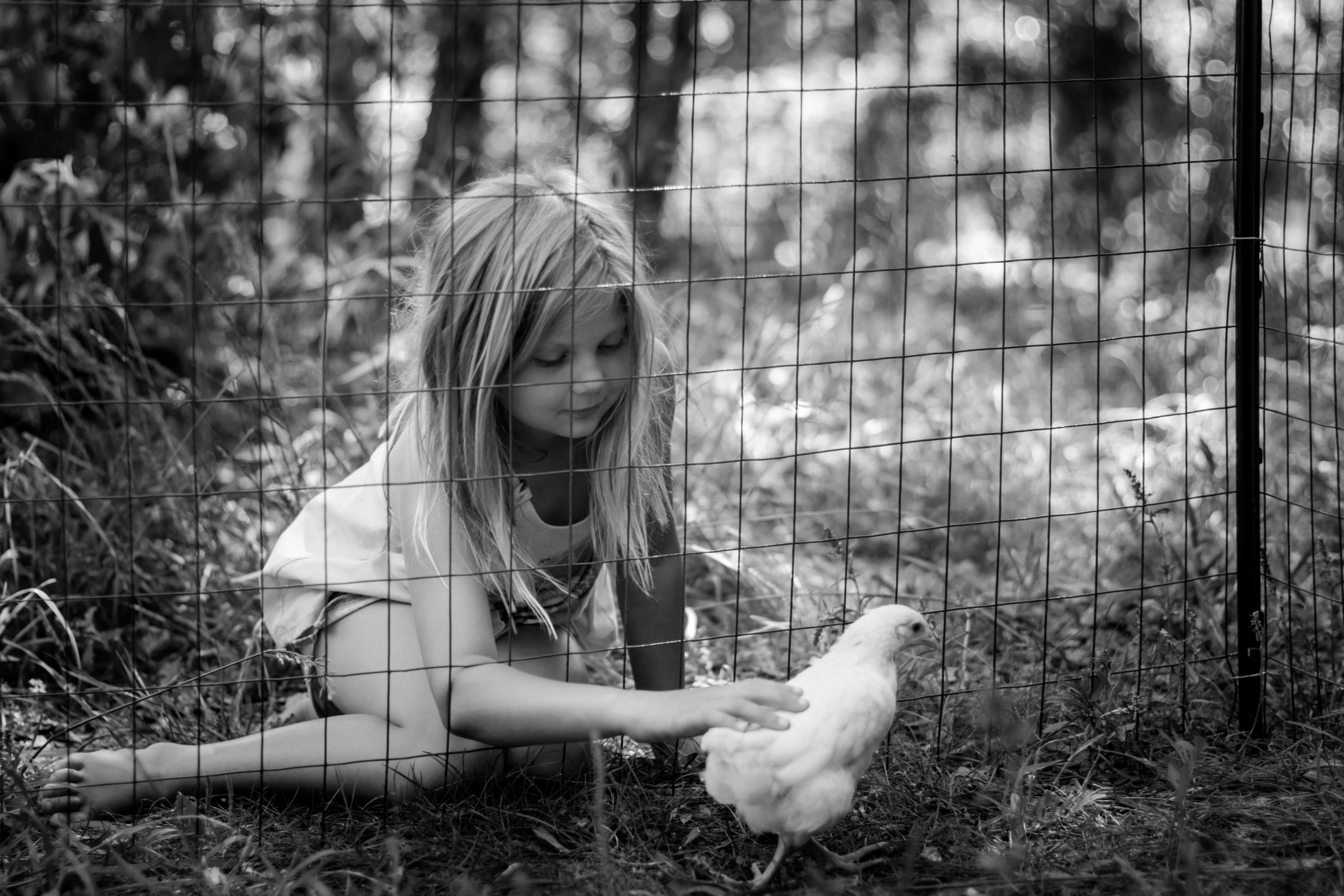 Sony SLT-A77 + Sony 50mm F1.4 sample photo. Girl with chicken photography