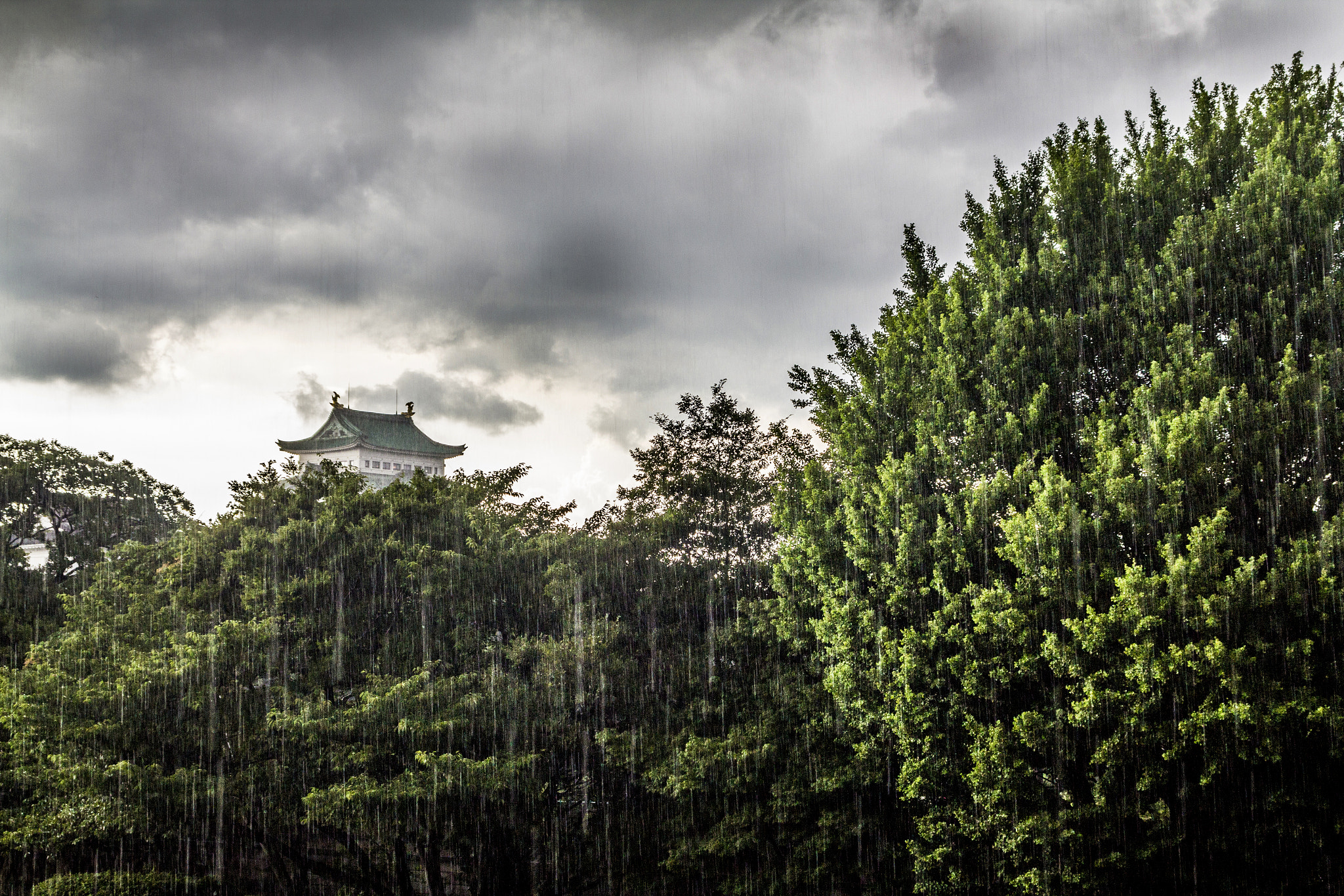 Canon EOS 60D + Canon EF 28-80mm f/3.5-5.6 USM sample photo. Nagoya castle of storm photography