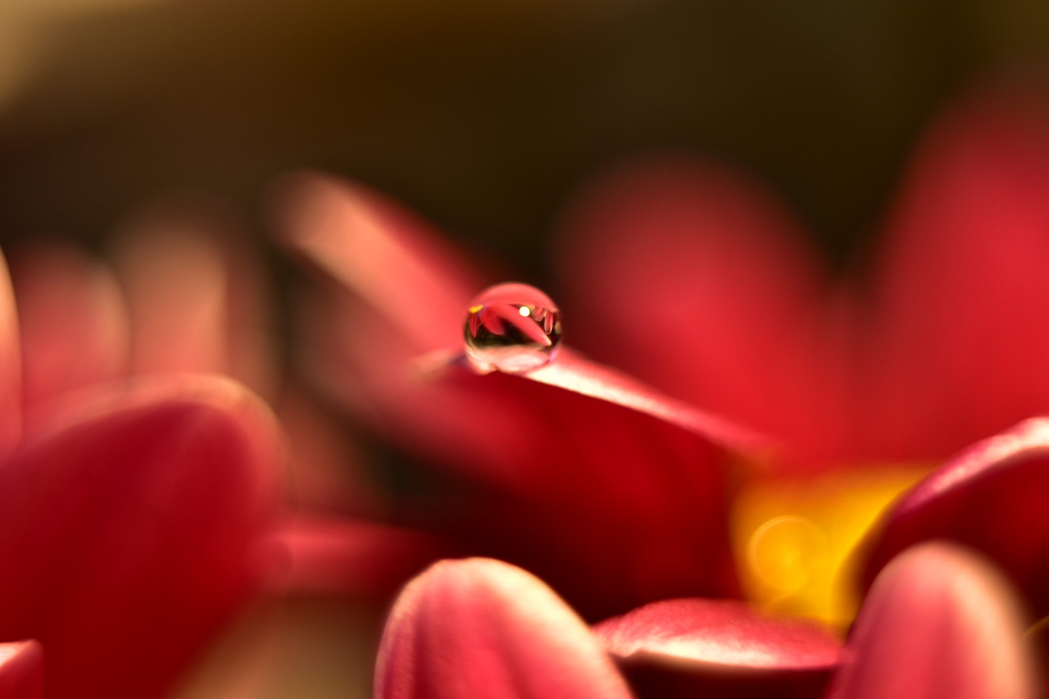 Manual Lens No CPU sample photo. Drops photography