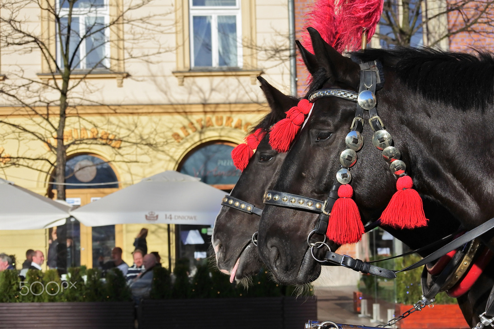 Nikon 1 Nikkor VR 30-110mm F3.8-5.6 sample photo. Horse drawn carriages in krakow photography