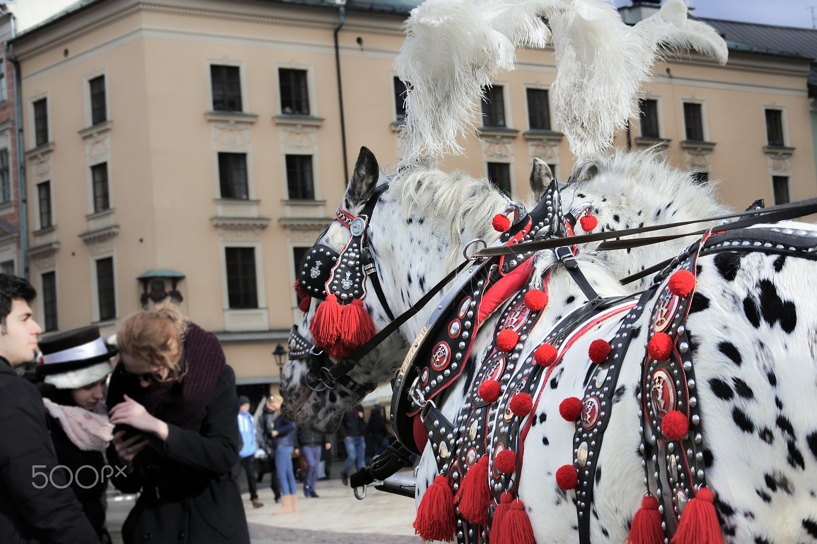 Nikon 1 J5 sample photo. Horse drawn carriages in krakow photography