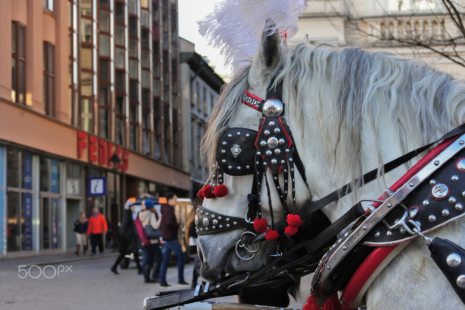 Nikon 1 Nikkor VR 30-110mm F3.8-5.6 sample photo. Horse drawn carriages in krakow photography