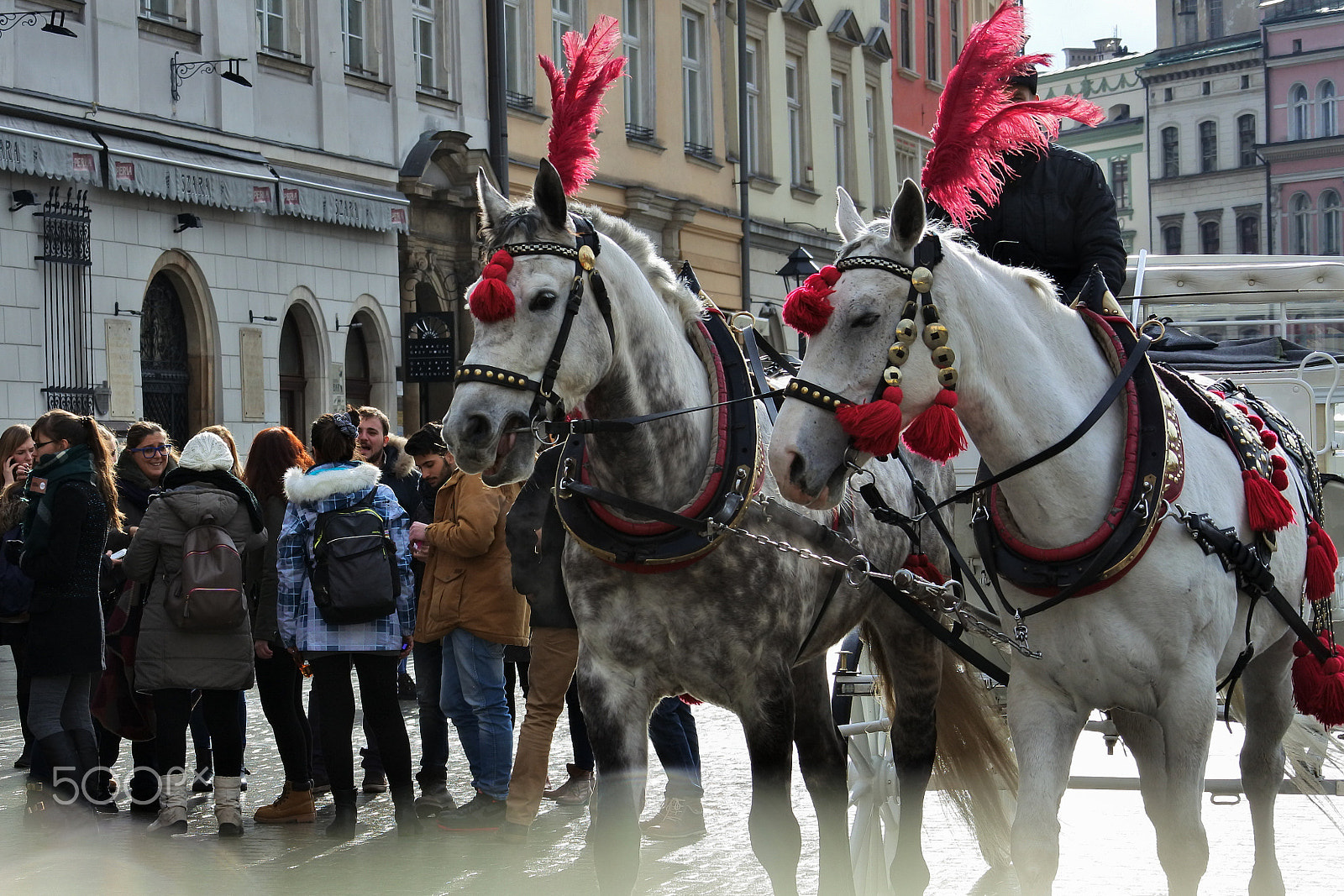 Nikon 1 Nikkor VR 30-110mm F3.8-5.6 sample photo. Horse drawn carriages in krakow photography