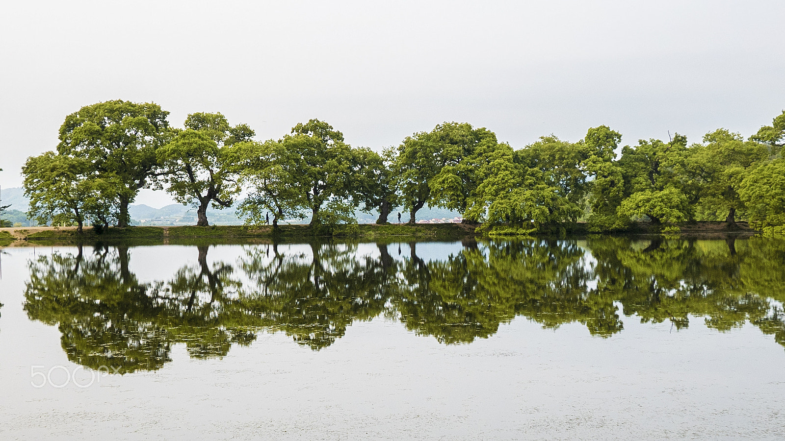 Panasonic Lumix G Vario 7-14mm F4 ASPH sample photo. Decalcomanie photography