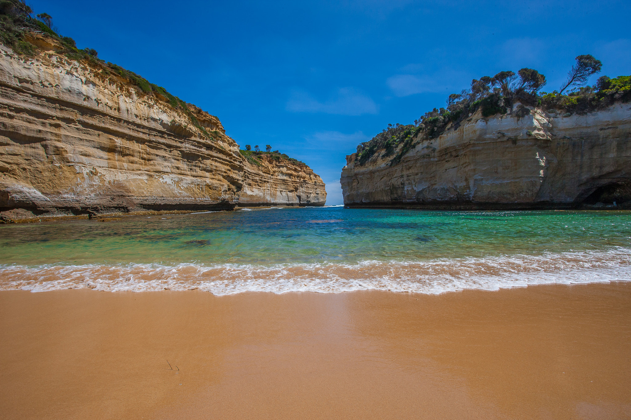 Canon EOS-1Ds Mark III sample photo. Scenery along great ocean road-australia photography