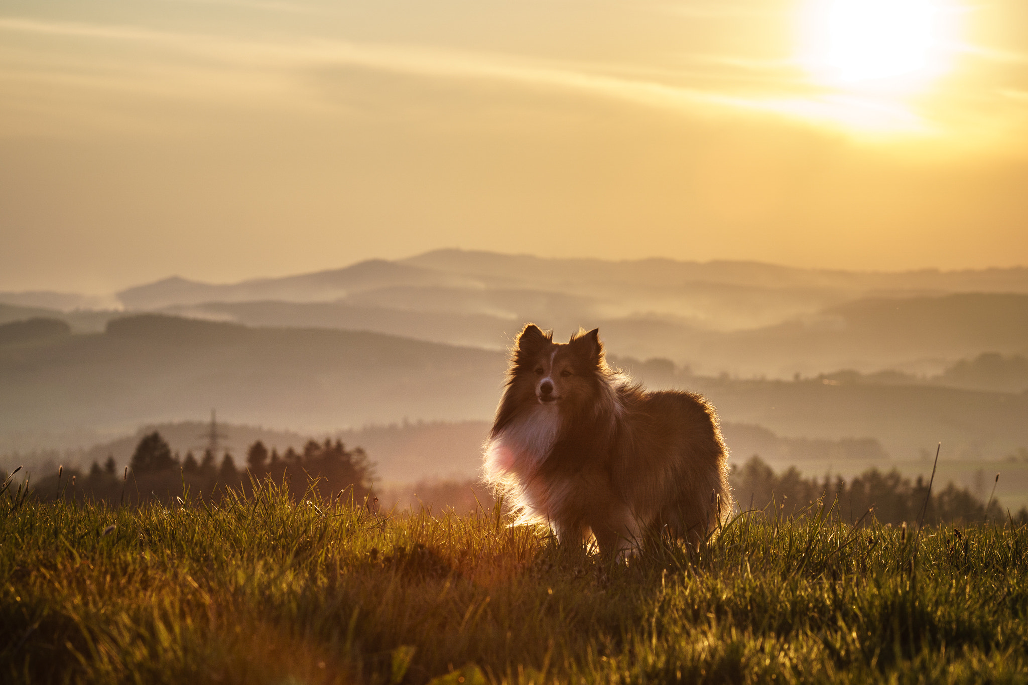 Minolta AF 80-200mm F2.8 HS-APO G sample photo. Sunset photography