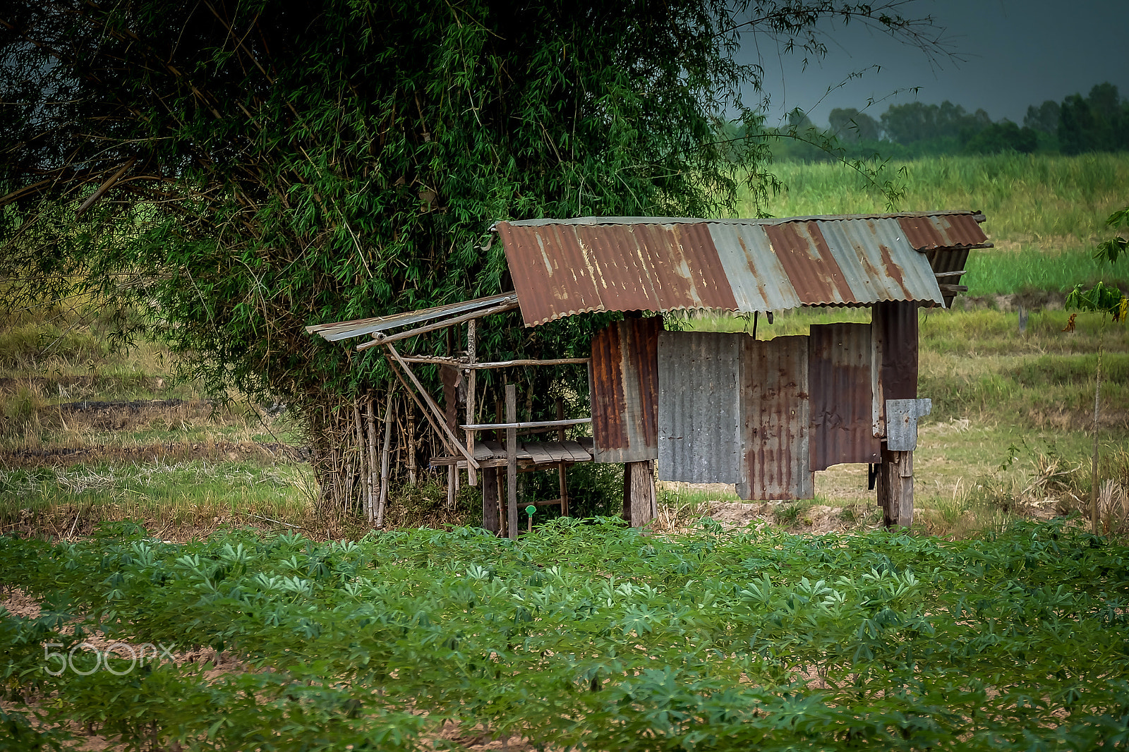 Fujifilm X-A1 + Fujifilm XC 50-230mm F4.5-6.7 OIS sample photo. Thai shack photography
