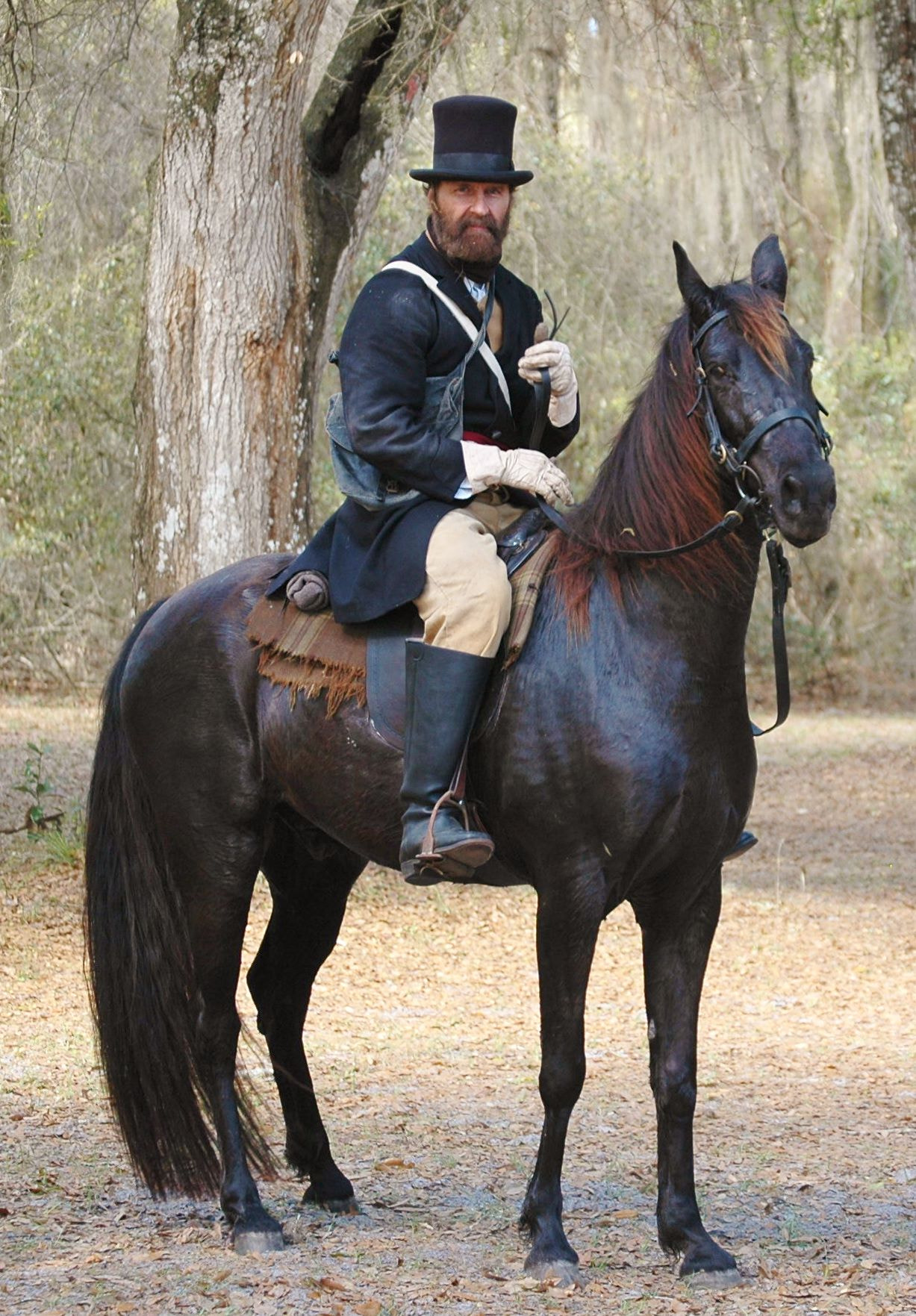 Nikon D70s sample photo. Man on horse () photography