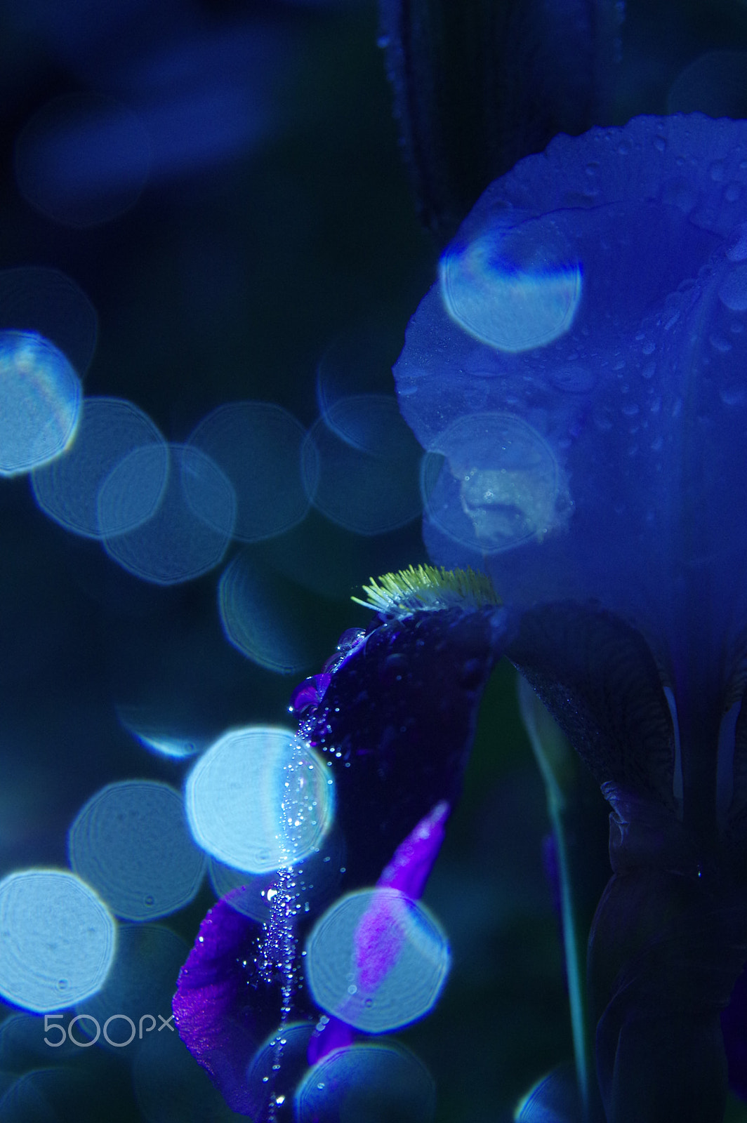 Sigma 17-70mm F2.8-4.5 DC Macro sample photo. The night photography