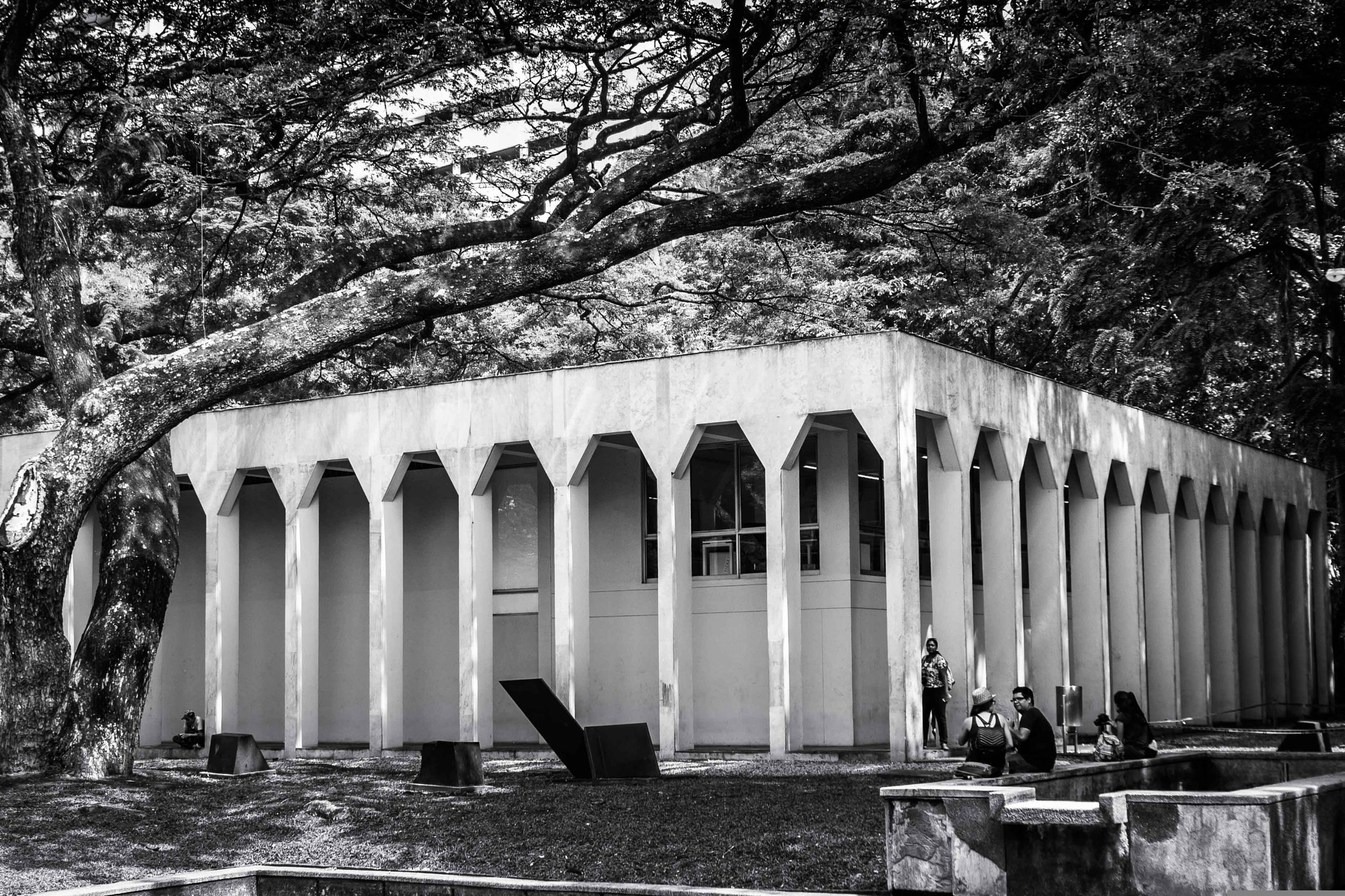 Canon EOS 1100D (EOS Rebel T3 / EOS Kiss X50) sample photo. La tertulia photography