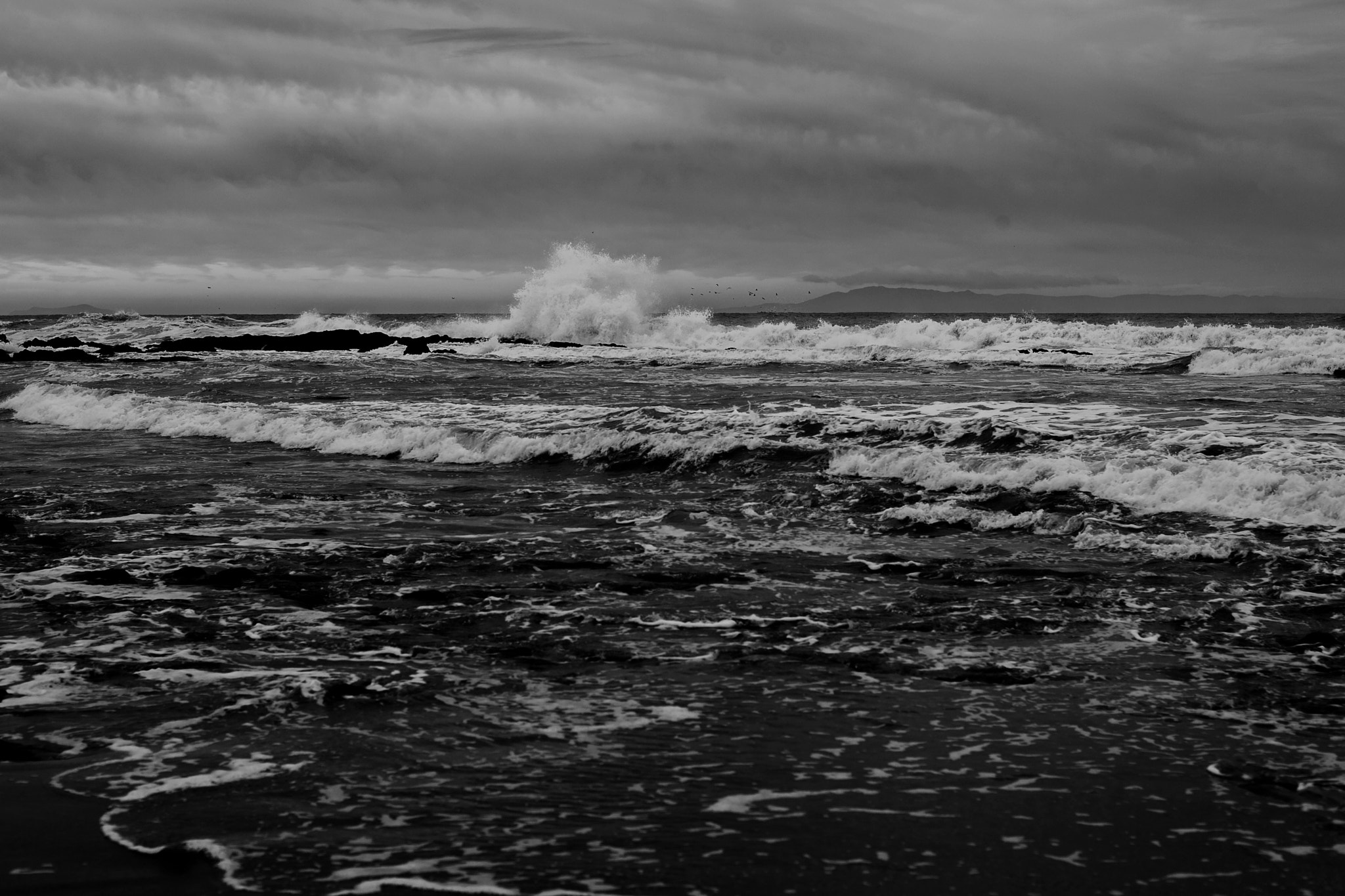 Canon EOS-1D Mark II sample photo. Rough photography