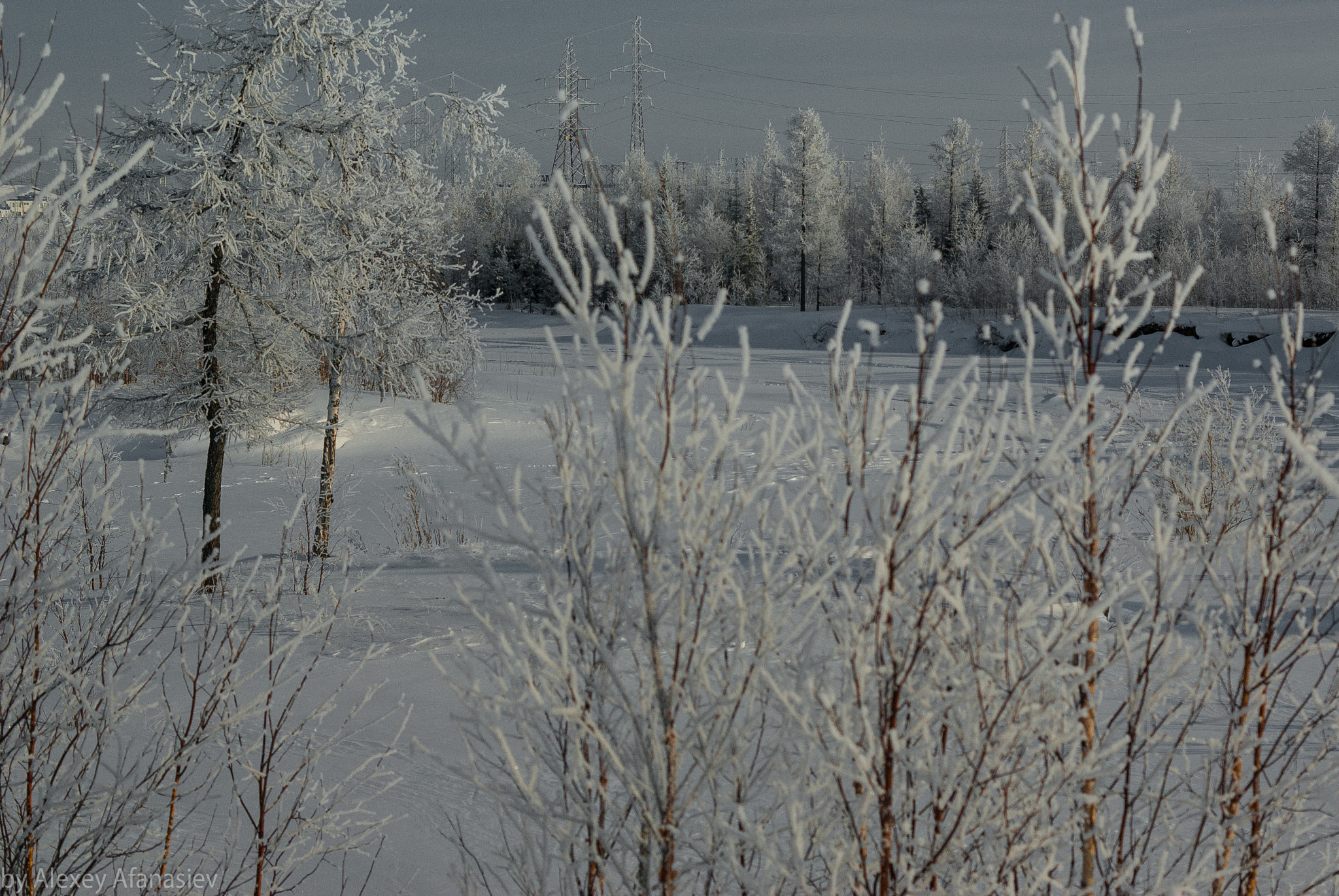 Pentax K10D + Pentax smc DA 50mm F1.8 sample photo. Near the frozen river photography