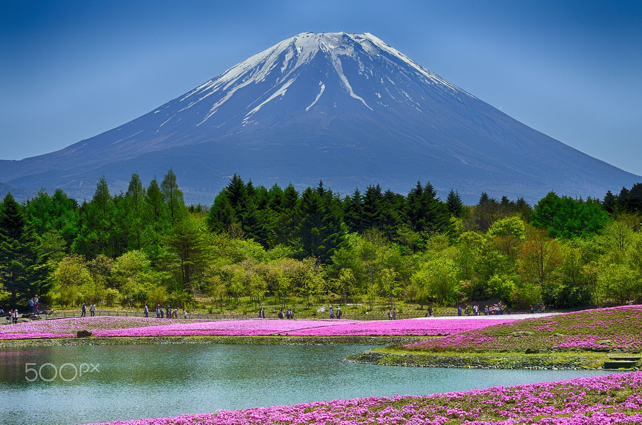 Mt. Fuji mountain lake (9)