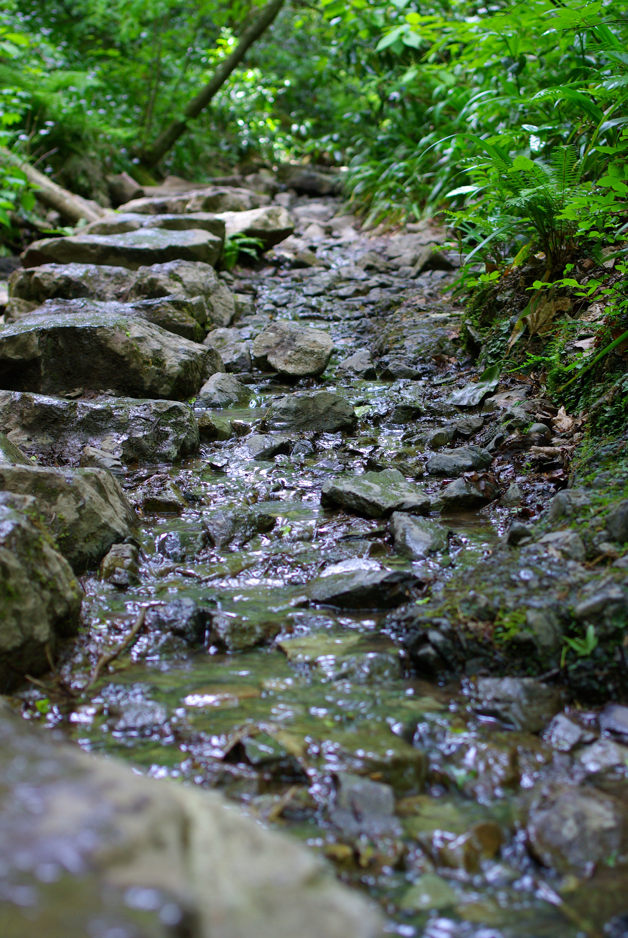 Pentax K10D + Pentax smc DA 35mm F2.4 AL sample photo. Mt.takao photography