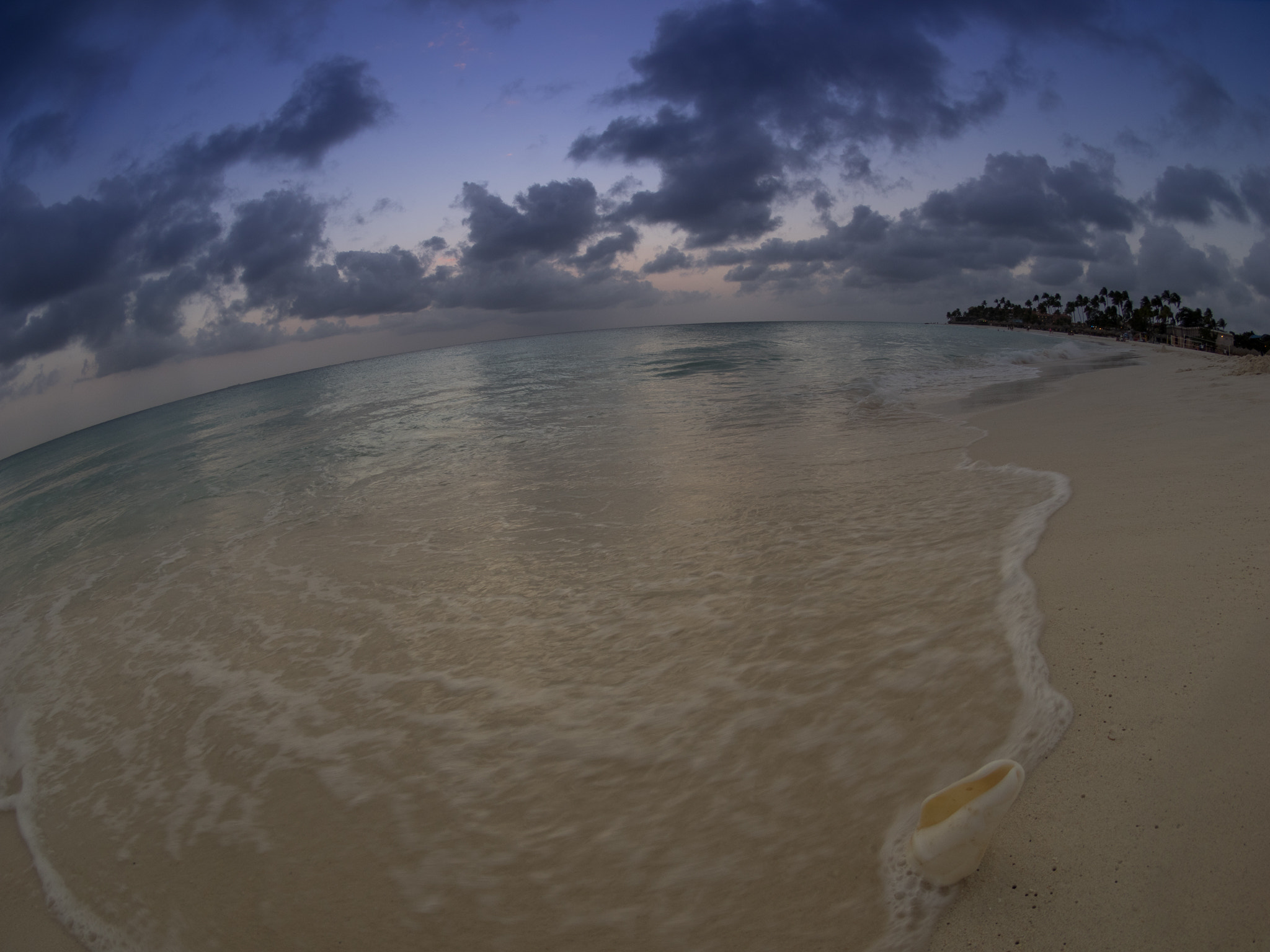OLYMPUS 8mm Lens sample photo. Sunset  druiff beach, orangestad, , aruba, © 2016 bob hahn, oly photography