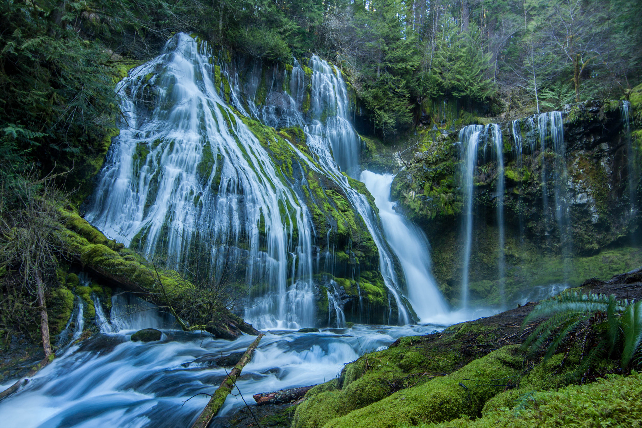 Canon EF 14mm F2.8L II USM sample photo. This is one of the many treasures in the pnw. pant ... photography