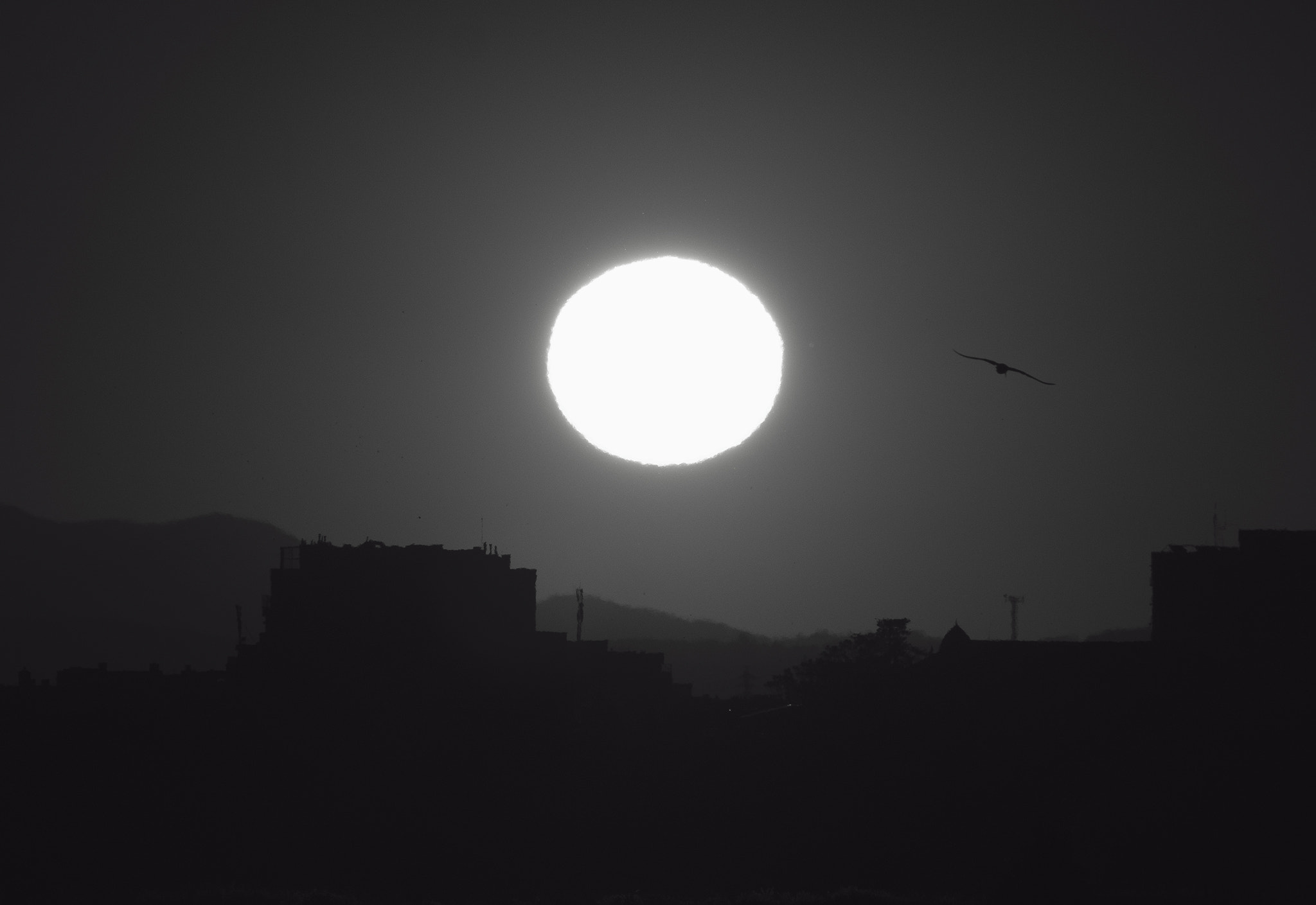 Panasonic Lumix DMC-GX8 sample photo. Sun rising 2 photography
