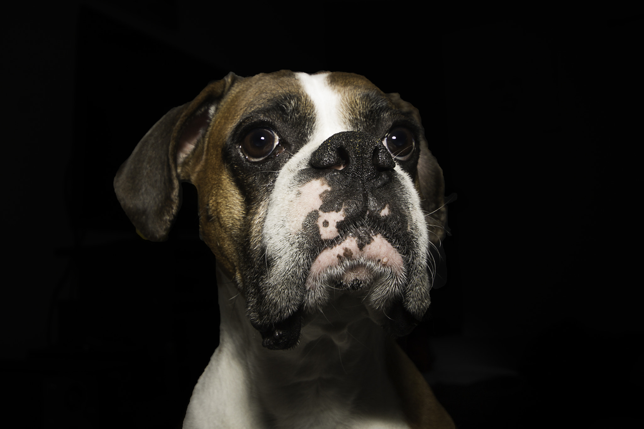 Sigma 10-20mm F4-5.6 EX DC HSM sample photo. Sadie photography