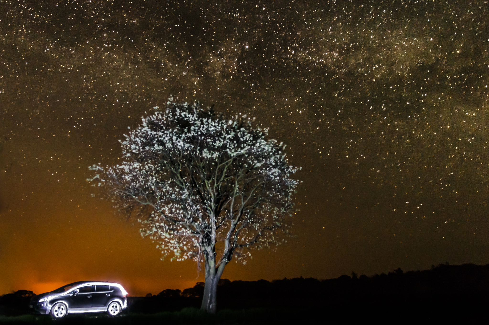 Sigma 17-70mm F2.8-4 DC Macro HSM sample photo. The car, the tree, the milky way photography