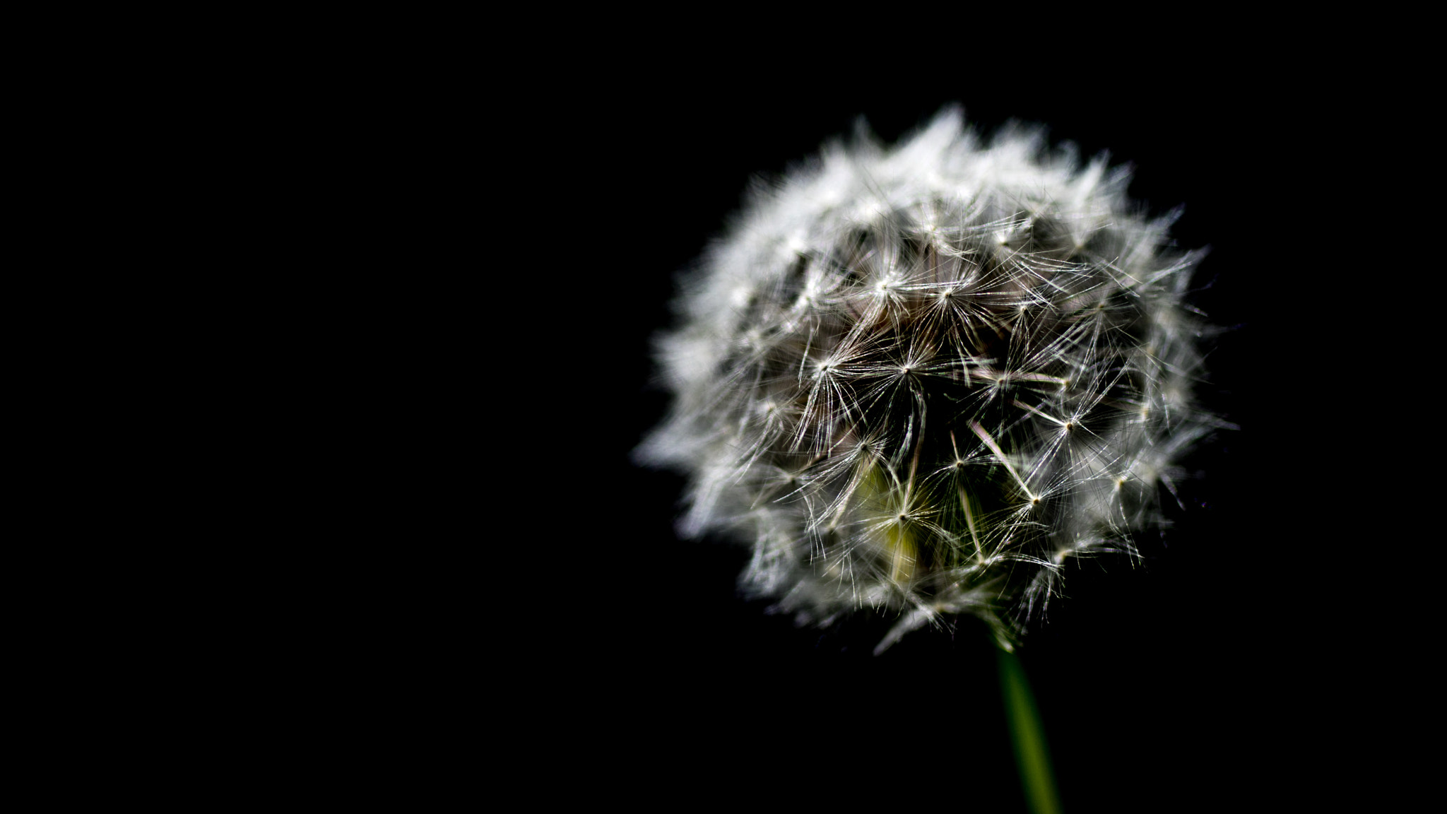 Sony a7R + Sony 70-400mm F4-5.6 G SSM sample photo. Peaceful darkness photography