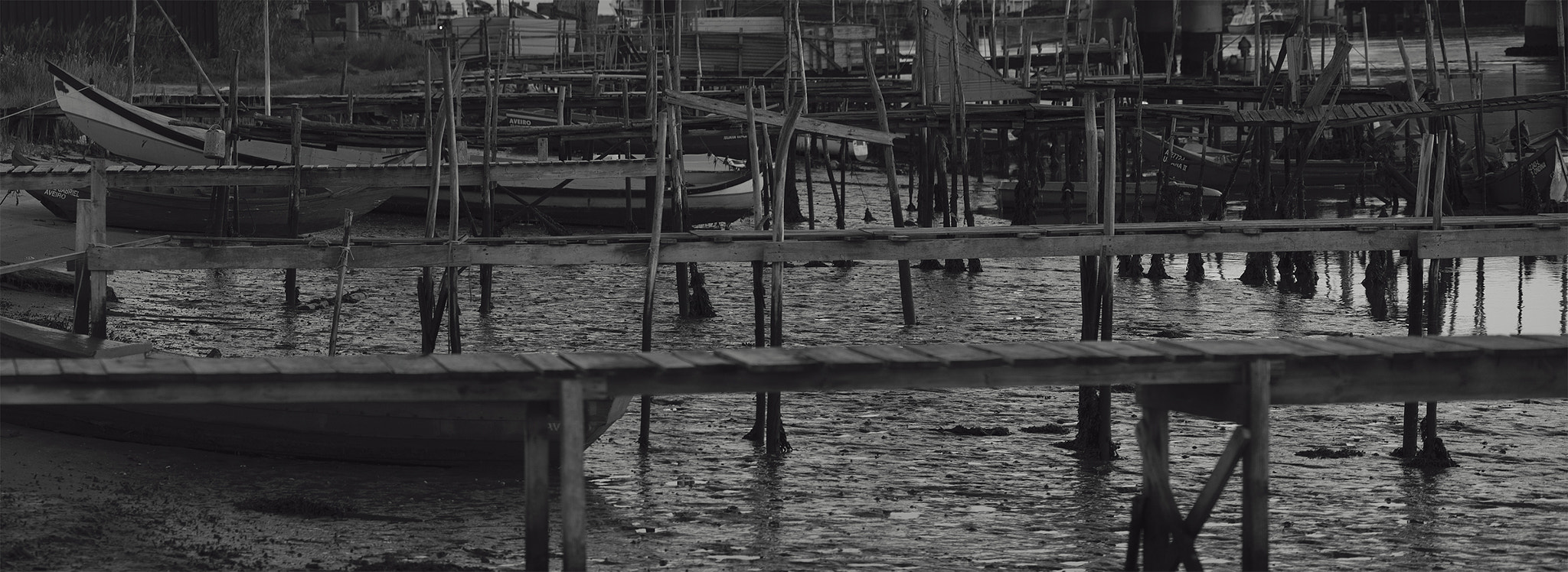 Panasonic Lumix DMC-GX8 sample photo. Aveiro photography