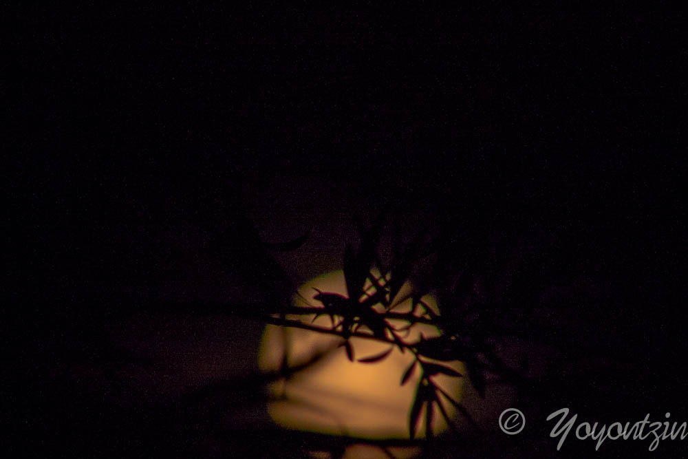 Canon EF 75-300mm f/4-5.6 USM sample photo. Tras la luna.jpg photography