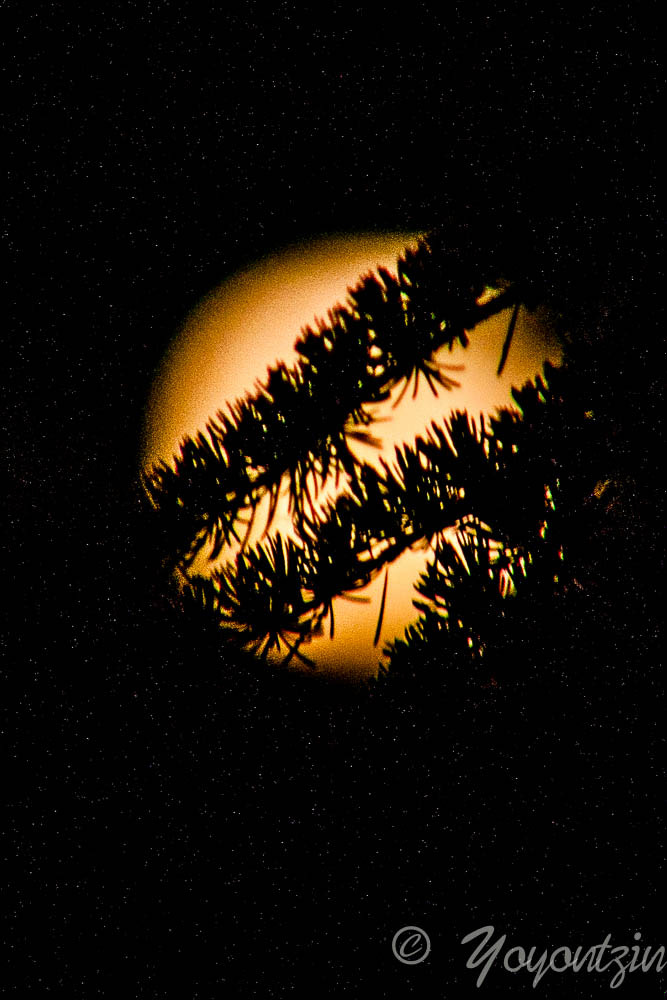 Canon EF 75-300mm f/4-5.6 USM sample photo. Tras la luna photography