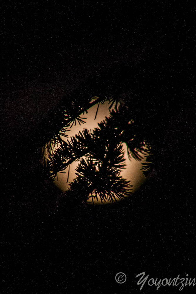 Canon EF 75-300mm f/4-5.6 USM sample photo. Frente a la luna.jpg photography