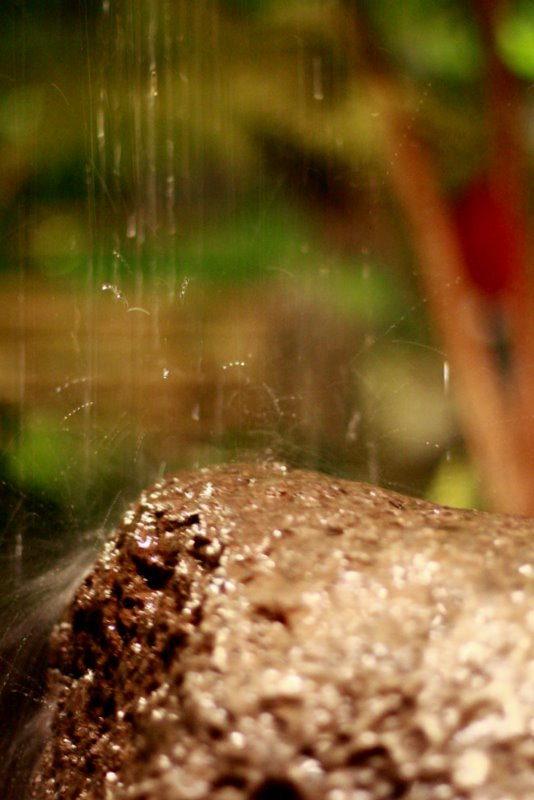 Canon EF 50mm F1.4 USM sample photo. La gota.jpg photography