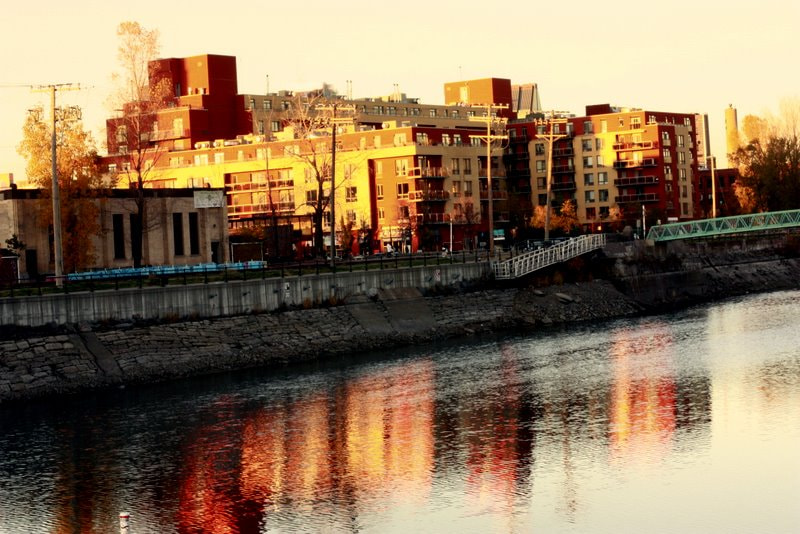 Canon EF 50mm F1.4 USM sample photo. El saint_laurent .jpg photography