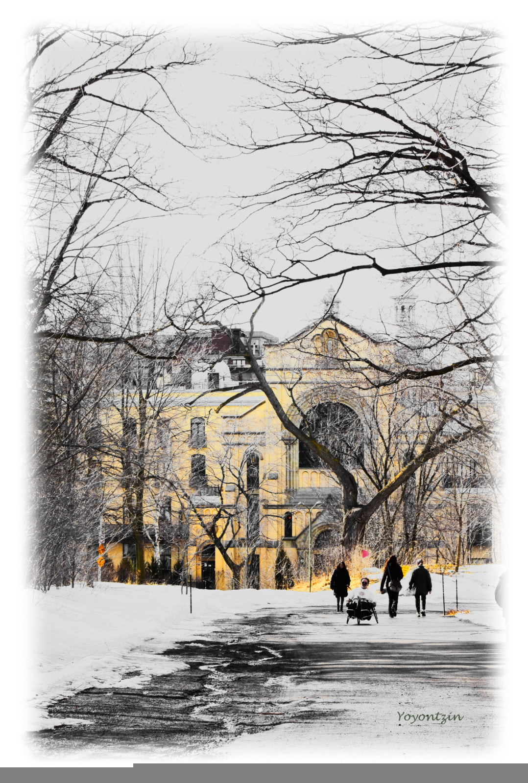 Canon EF 75-300mm f/4-5.6 USM sample photo. En el mont-royal,.jpg photography