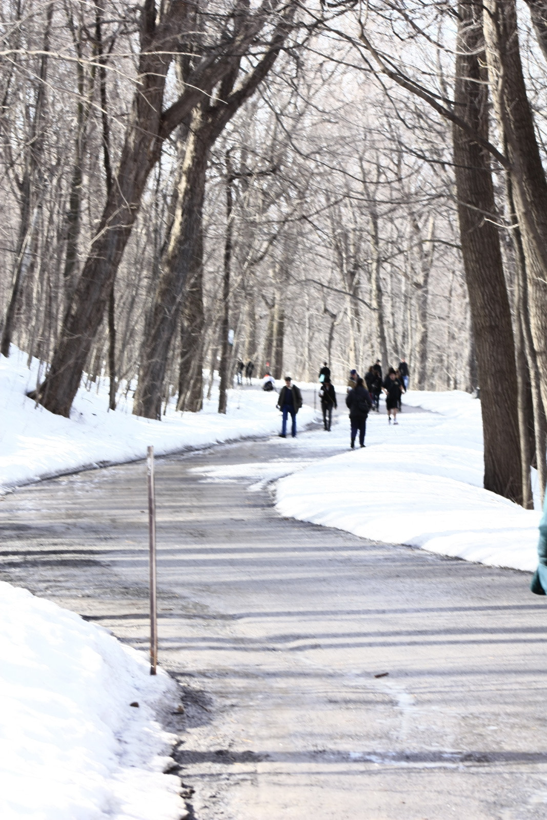 Canon EF 75-300mm f/4-5.6 USM sample photo. Camino sin nieve.jpg photography