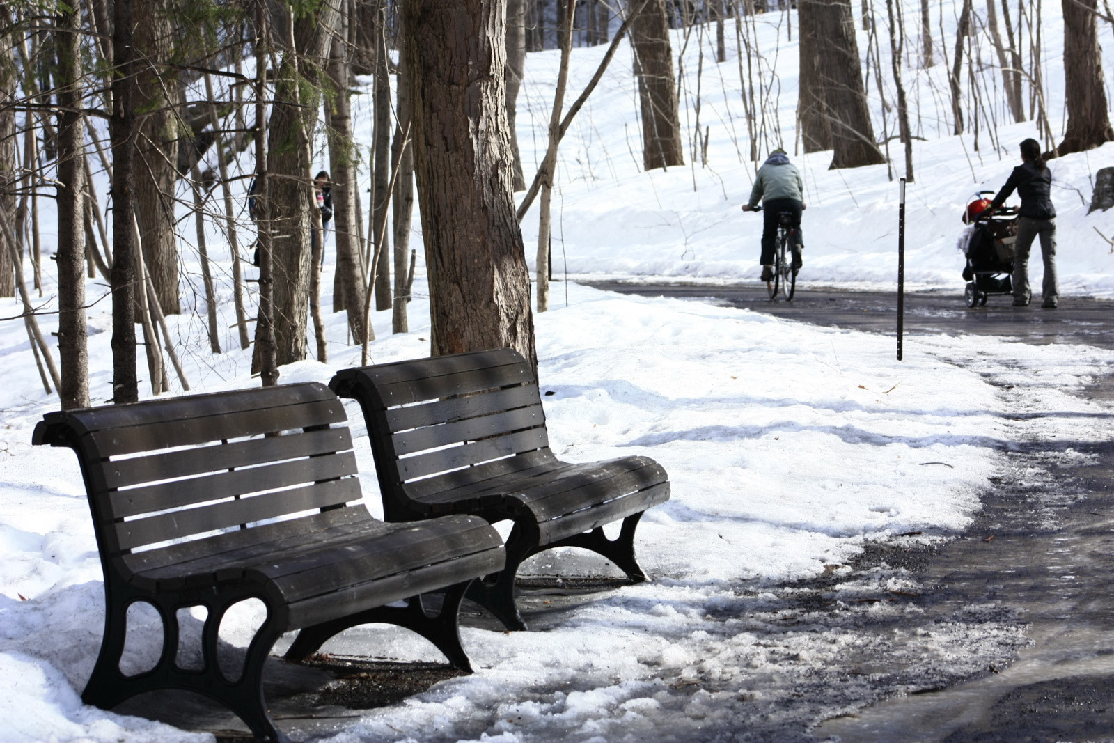 Canon EF 75-300mm f/4-5.6 USM sample photo. Paso con nieve.jpg photography