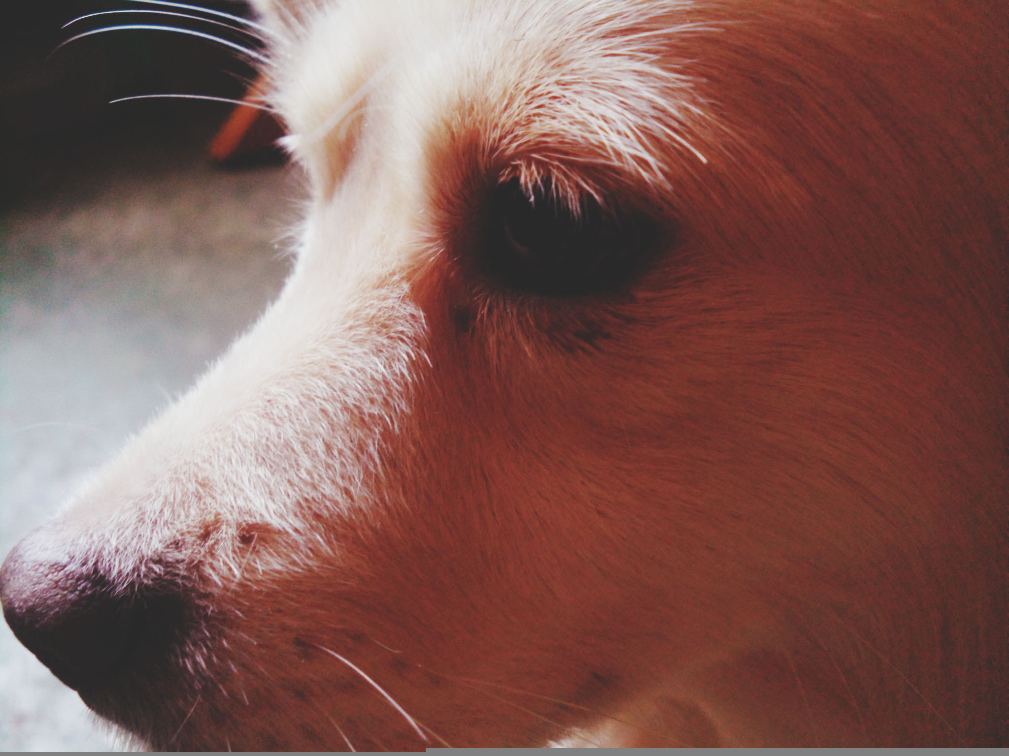 Samsung VLUU ST80, ST80 sample photo. 10264299554.jpg photography