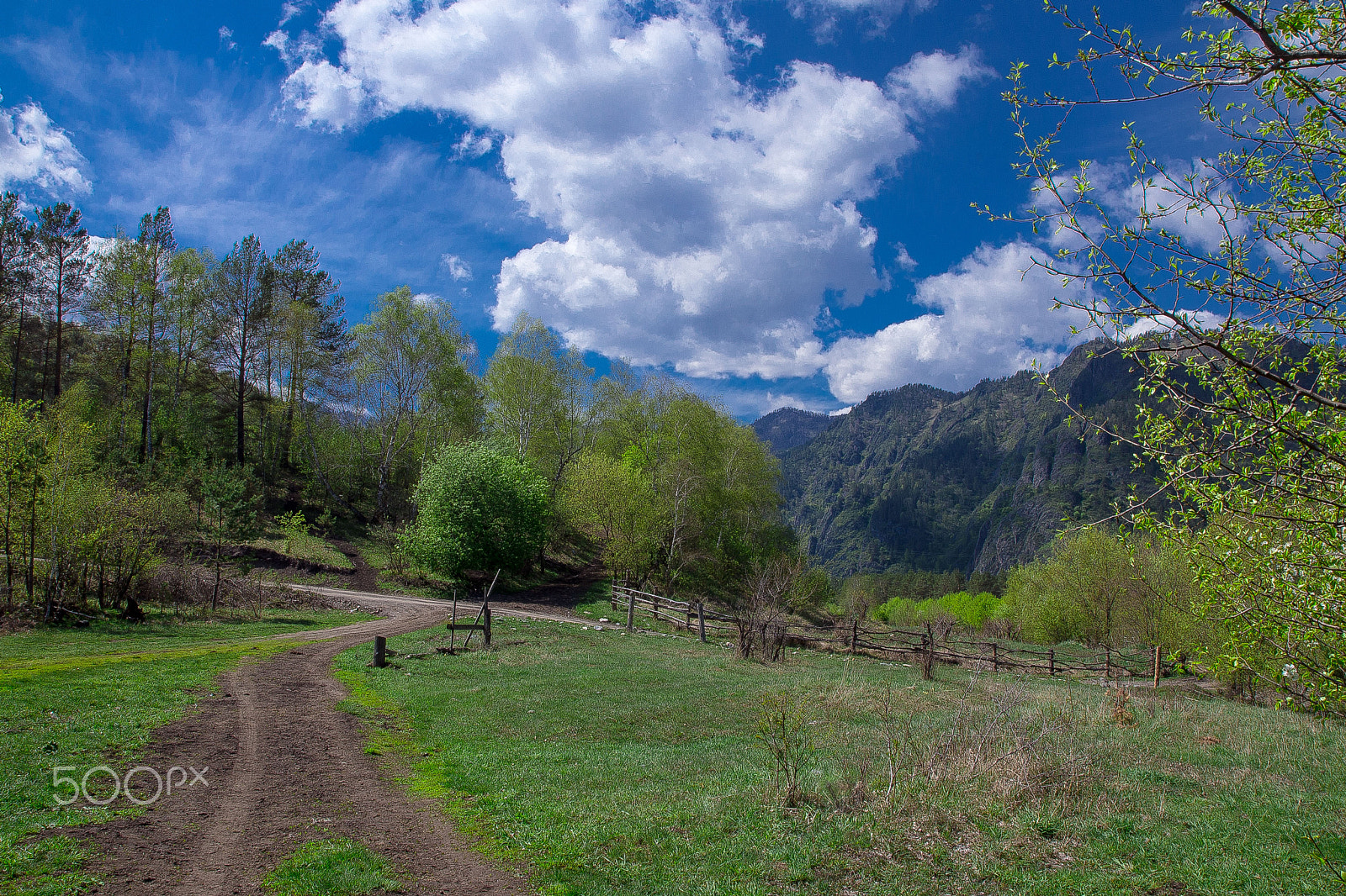 Nikon D600 sample photo. Spring in chemal photography